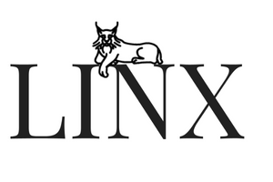 LINX Watch